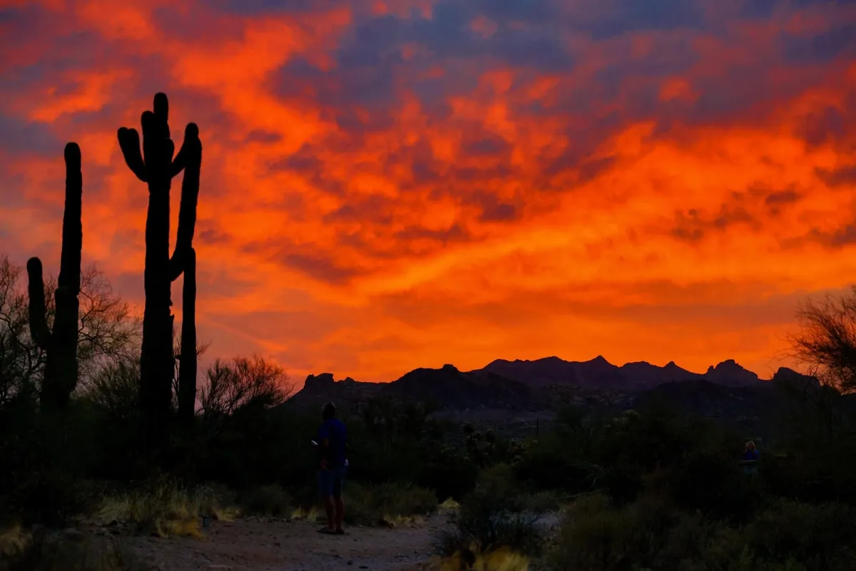 A dramatic Arizona desert landscape featuring majestic saguaro cacti, vibrant skies, silhouetted mountains, and a person standing in awe. The scene embodies the sense of adventure and natural beauty available just beyond the backyard.